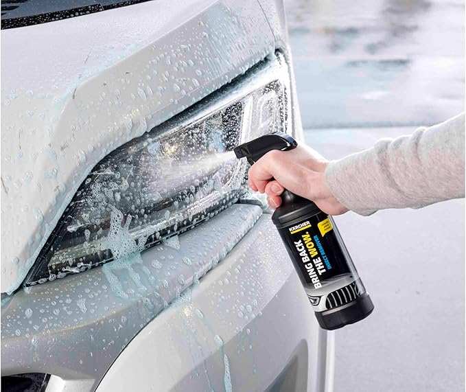 Kärcher 6.295-761.0 - Removedor de Insetos RM 618, 500ml